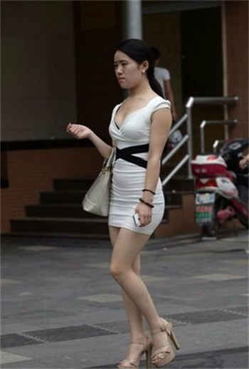 乐多社奶猫糯糯