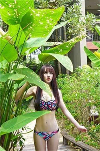 能看免费无毒的网站