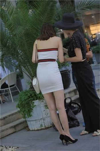 新欢外交官未删减小说