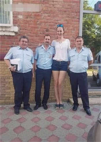 磁力牛蜘蛛