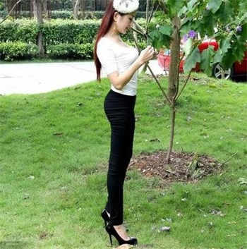 小蝌蚪版本4.0
